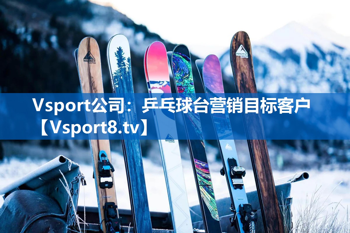 Vsport公司：乒乓球台营销目标客户