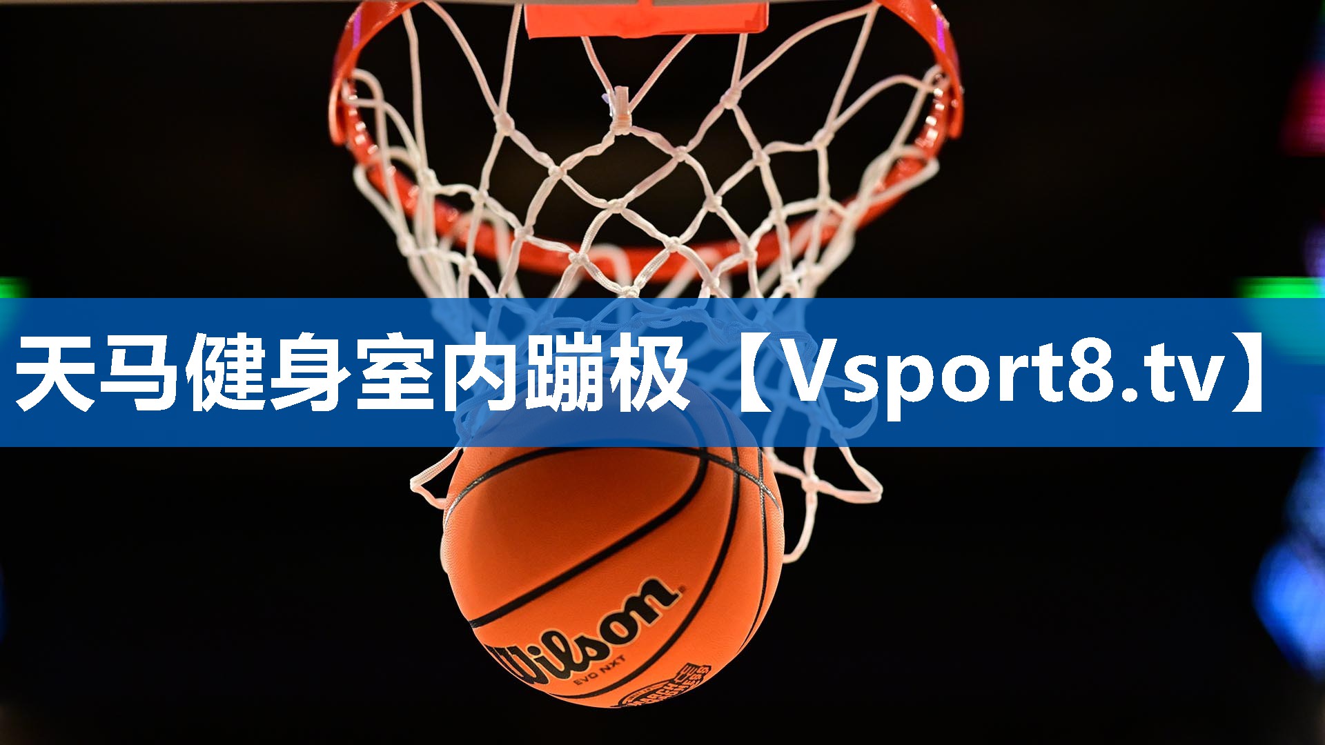天马健身室内蹦极