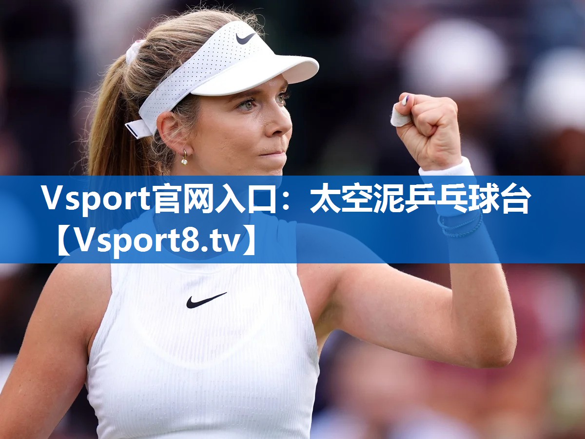 Vsport官网入口：太空泥乒乓球台