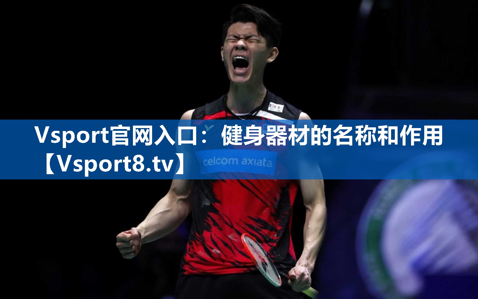 Vsport官网入口：健身器材的名称和作用