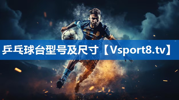 乒乓球台型号及尺寸