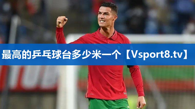 最高的乒乓球台多少米一个