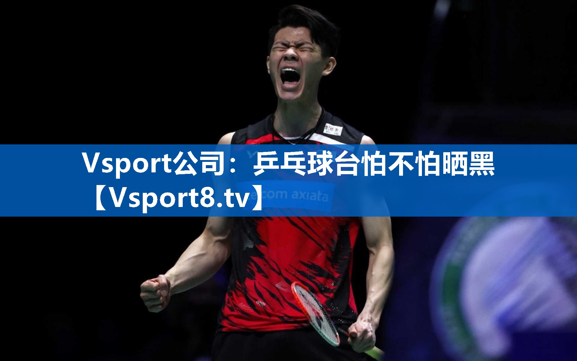 Vsport公司：乒乓球台怕不怕晒黑