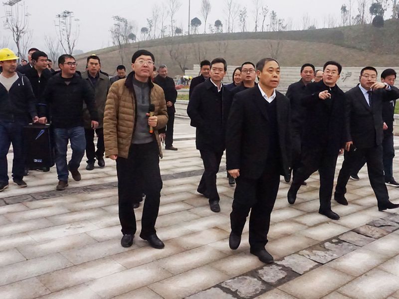 2026世界杯园林绿化维护