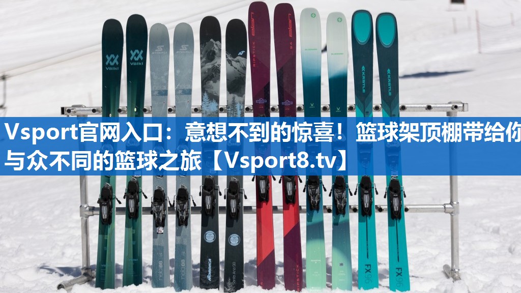 意想不到的惊喜！篮球架顶棚带给你与众不同的篮球之旅
