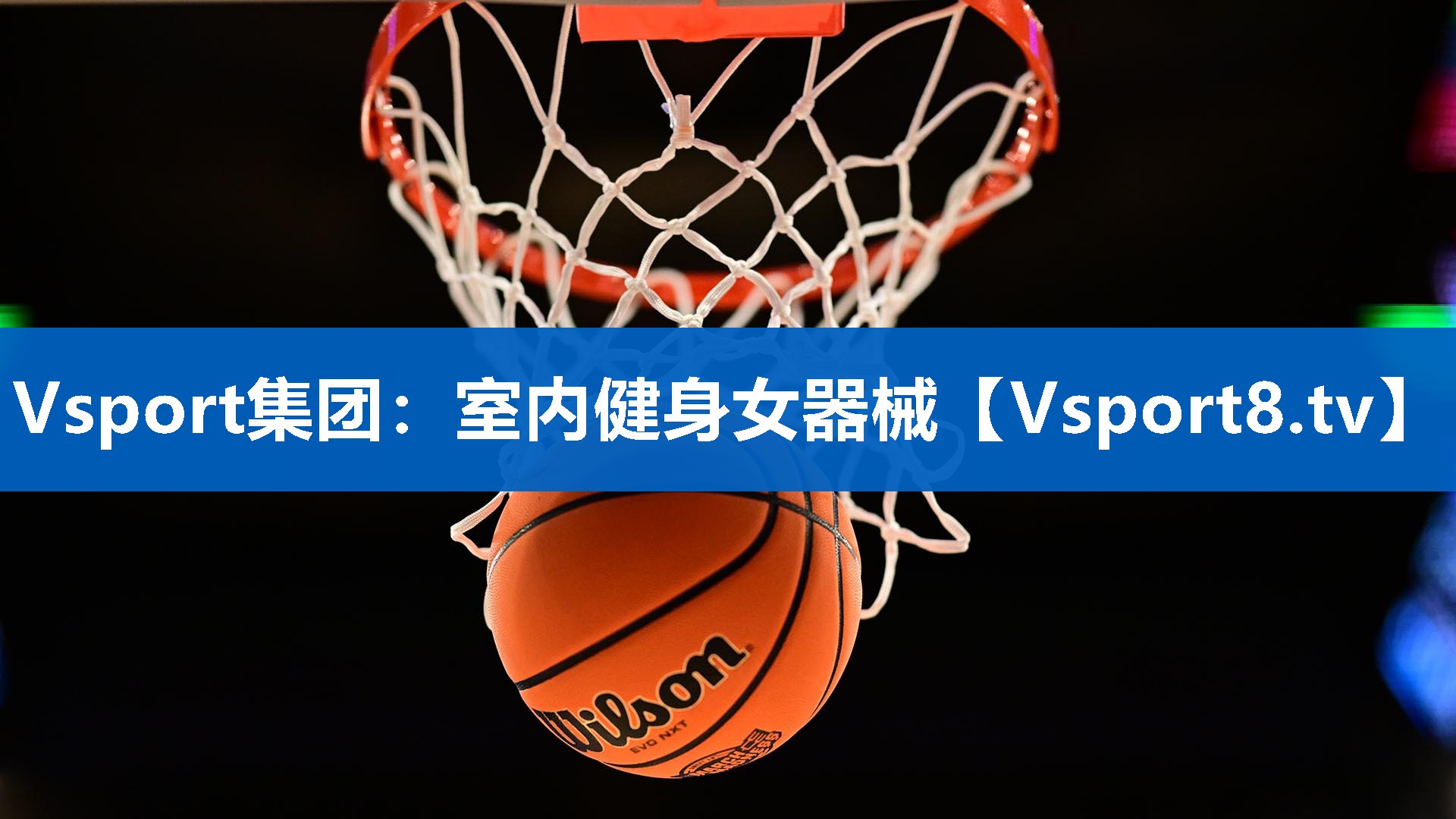室内健身女器械 室内健身女器械