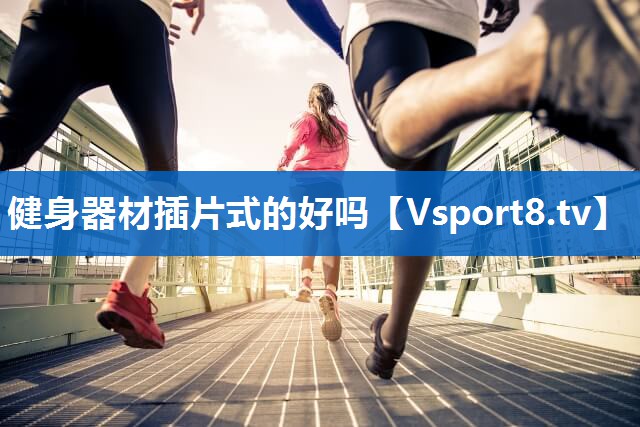 健身器材插片式的好吗