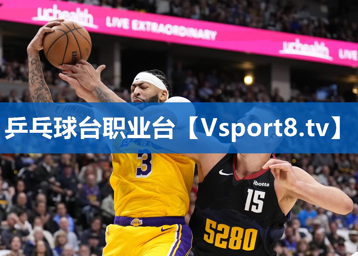 乒乓球台职业台