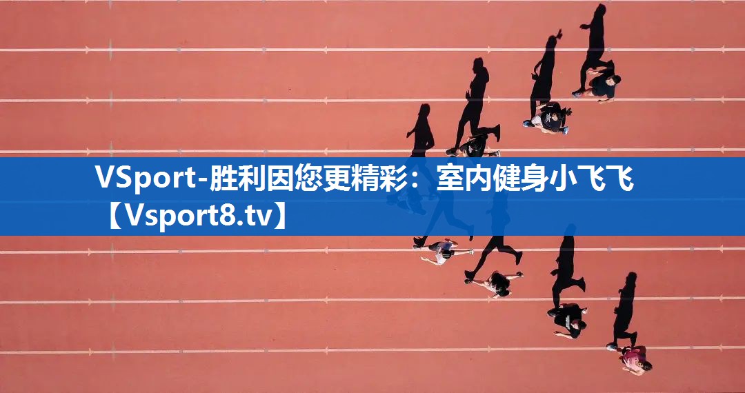 室内健身小飞飞